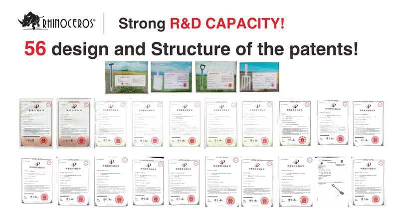 Strong R&D capacity