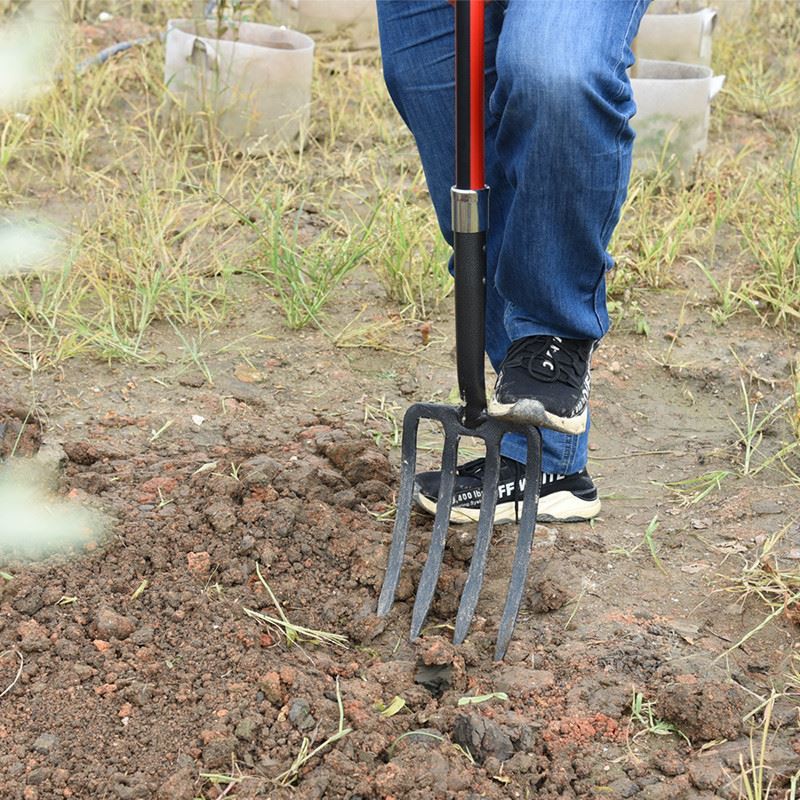 garden forks for gardening operation