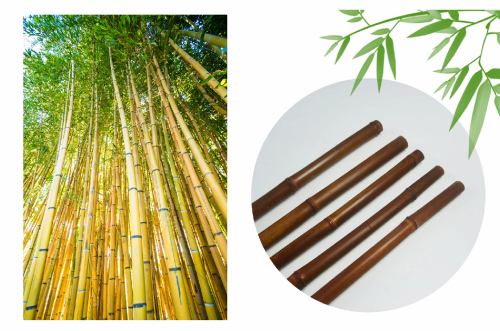 Bamboo material