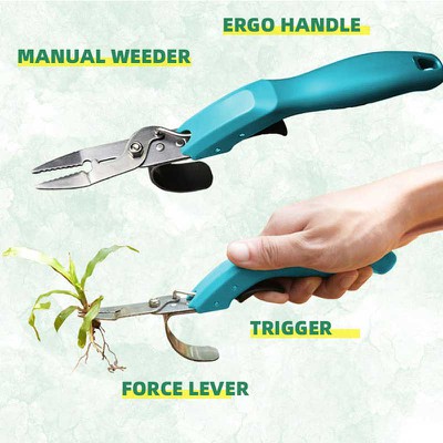 product-400-400 product-400-400