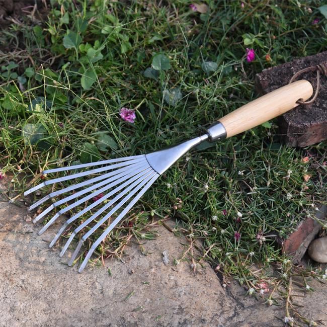 Hand Garden Rake