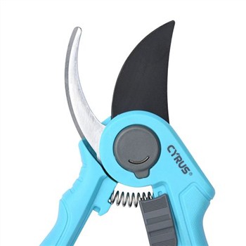 Diversi modelli LOGO comunemente usati dai rinoceronti