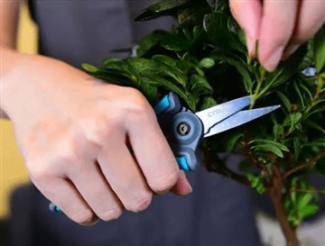 Perché abbiamo lanciato le nuove e più grandi forbici