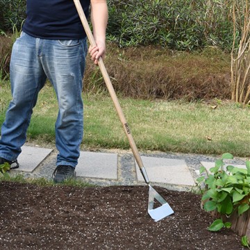 I vantaggi di avviare un orto