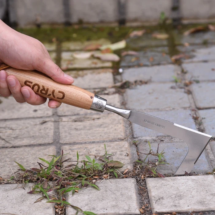 Il diserbo del giardino diventa facile con un diserbo manuale in acciaio inos...