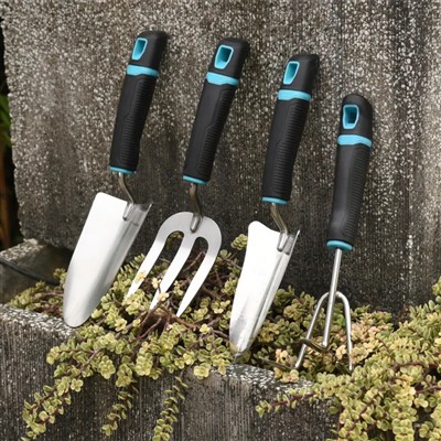 Migliora il tuo spazio con bellissime fioriture