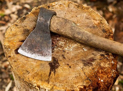 Utensili per il taglio degli alberi e dispositivi di sicurezza