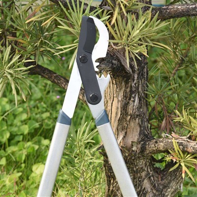 Il miglior strumento per potare i rami è il troncarami bypass