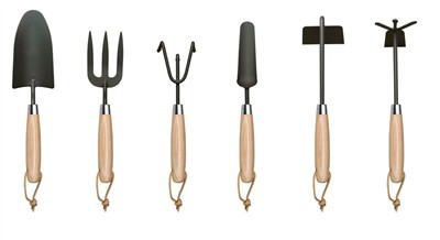 Piantare pomodori a casa