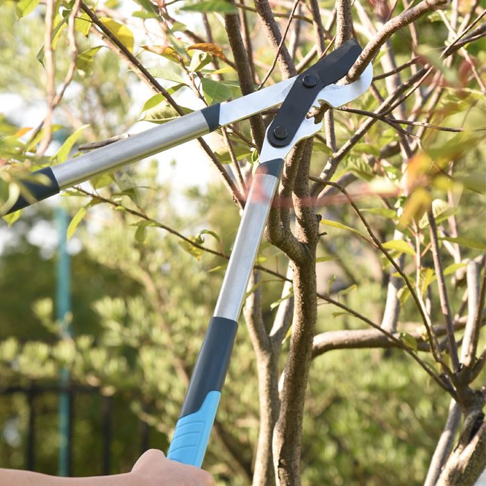 Long Handled Pruners Loppers
