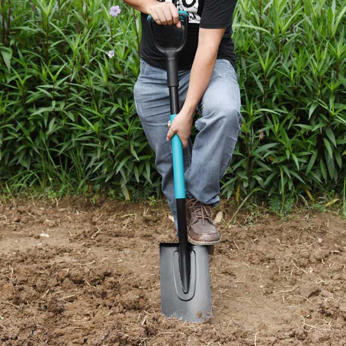 Spades And Forks Garden