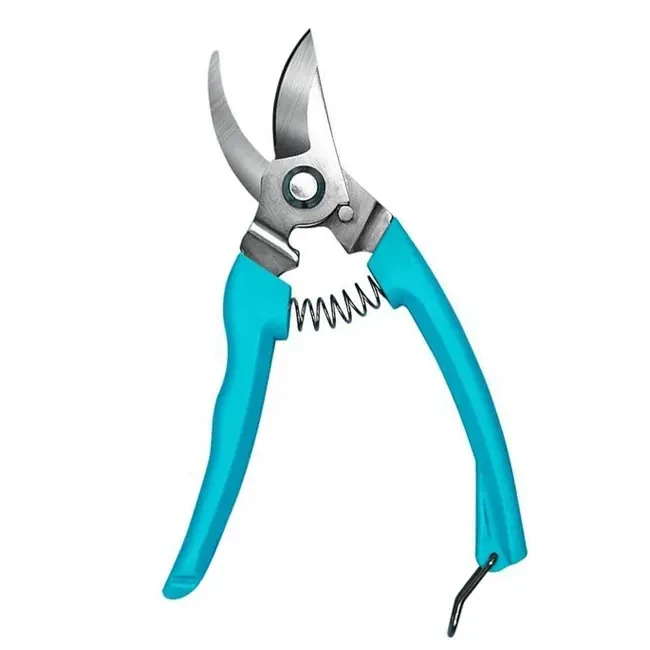 Shears da giardino piccolo