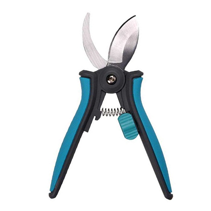 Potatore per piante d'appartamento