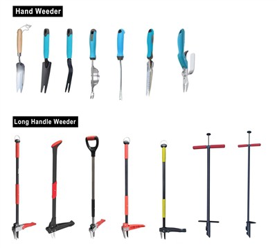 Coltivare il verde: abbracciare la sostenibilità nel tuo giardino