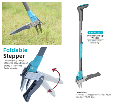 Celebrare la festa di metà autunno in tutto il mondo: un'armonia di tradizion...